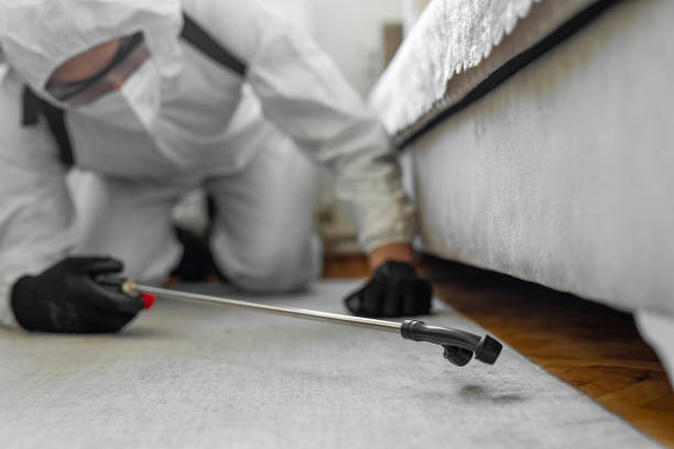 Professional Bed Bug Control technician working in Laurel Springs, NJ