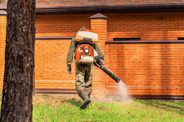 Trusted Cockroach Control service in Laurel Springs, NJ - Nex Pest Control
